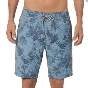 Mens Hang Ten Boardshorts Blue NEW